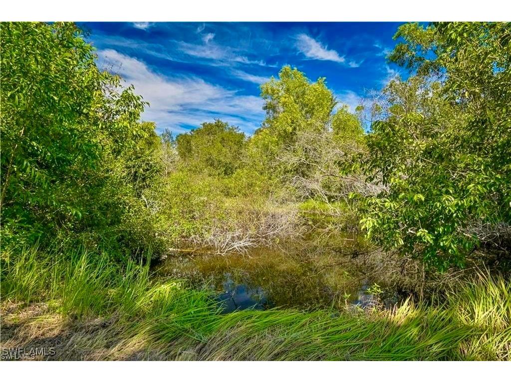 6570 Carmelita Drive Fort Myers FL 33905 225065910 image5