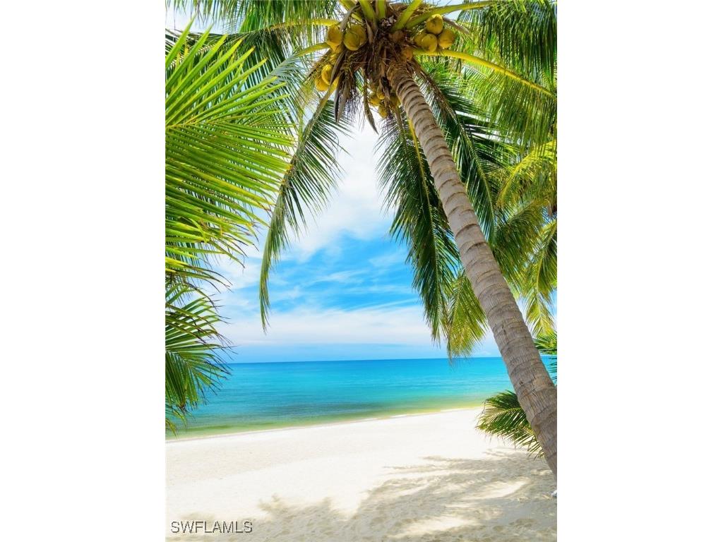 6573 Marissa Loop #902 Naples FL 34108 225064806 image39