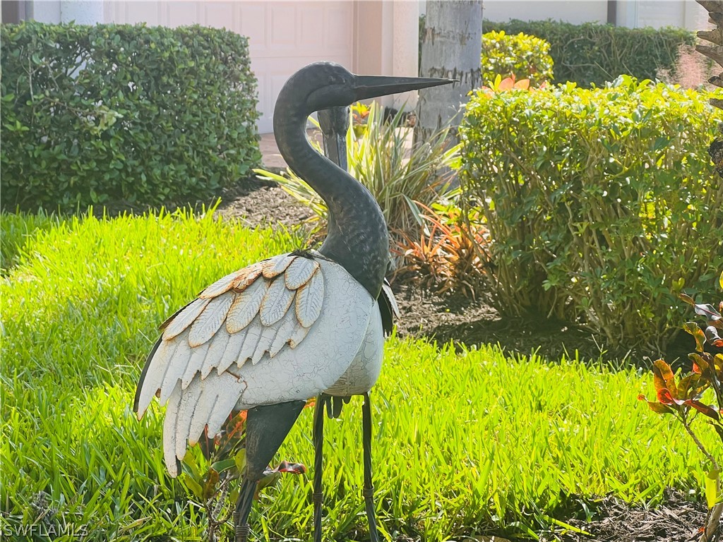 6574 Amarone Lane Naples FL 34113 226012173 image18