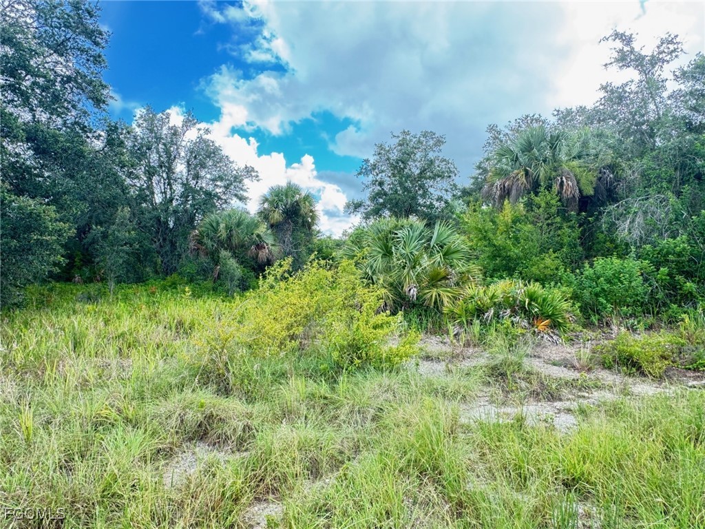 658 Morella Avenue Lehigh Acres FL 33972 2025008077 image2