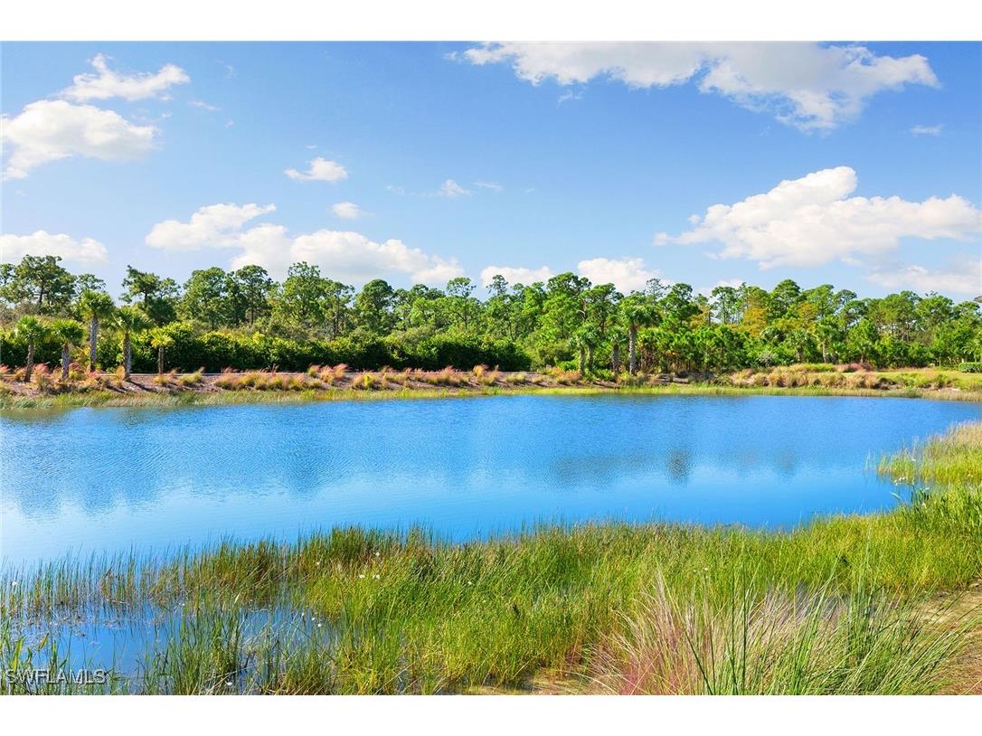 6585 Dominica Drive #201 Naples FL 34113 225077149 image30