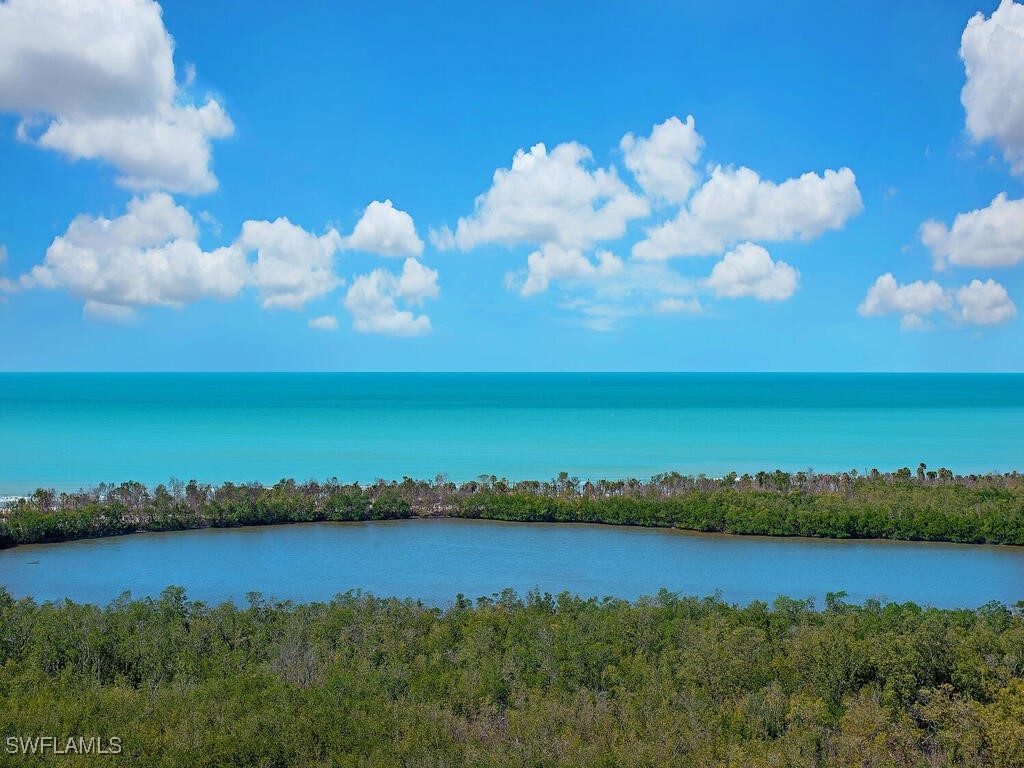 6585 Nicholas Boulevard #1703 Naples FL 34108 225042350 image1