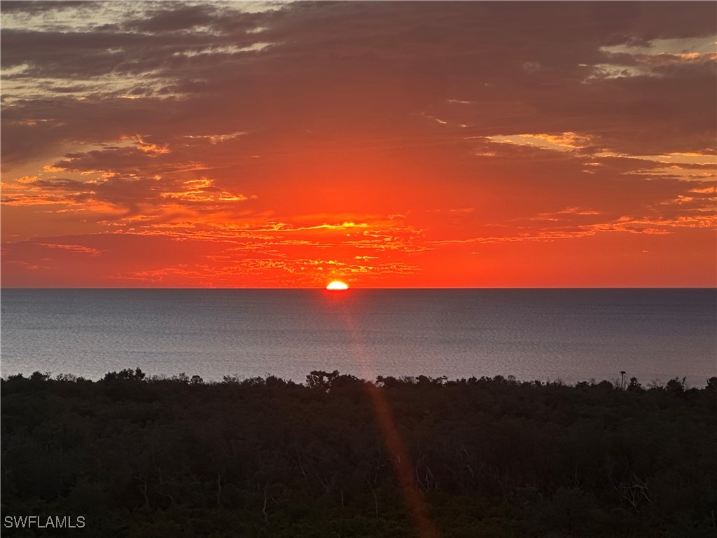 6585 Nicholas Boulevard #1102 Naples FL 34108 225076928 image13