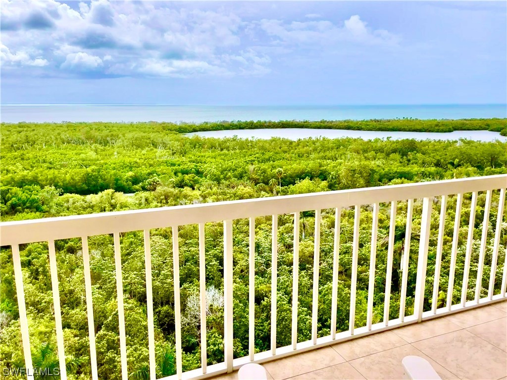 6585 Nicholas Boulevard #1203 Naples FL 34108 223062226 image1