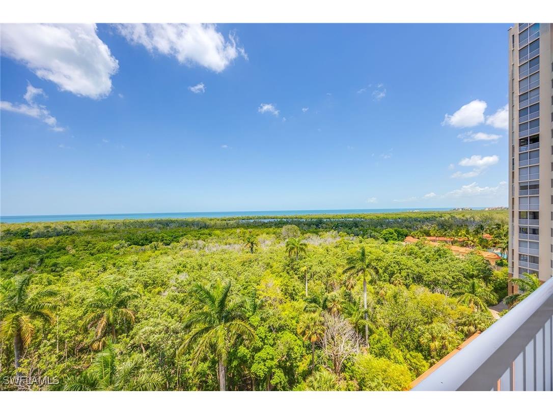 6585 Nicholas Boulevard #805 Naples FL 34108 225056757 image29