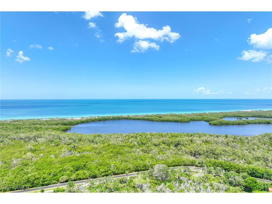 6585 Nicholas Boulevard #805 Naples FL 34108 225056757 image43