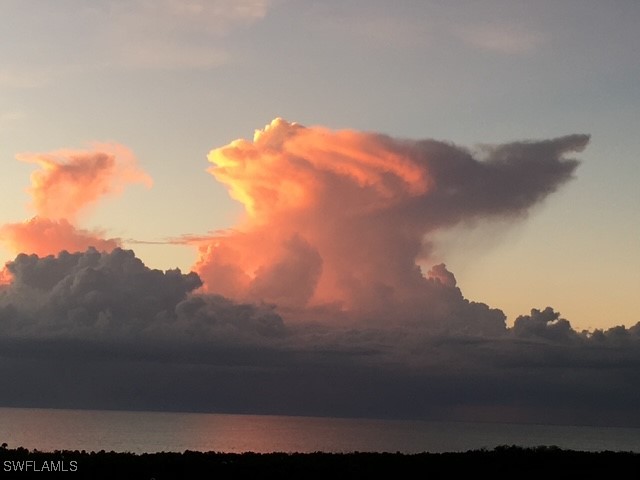 6597 Nicholas Blvd #1101 Naples FL 34108 225050344 image29