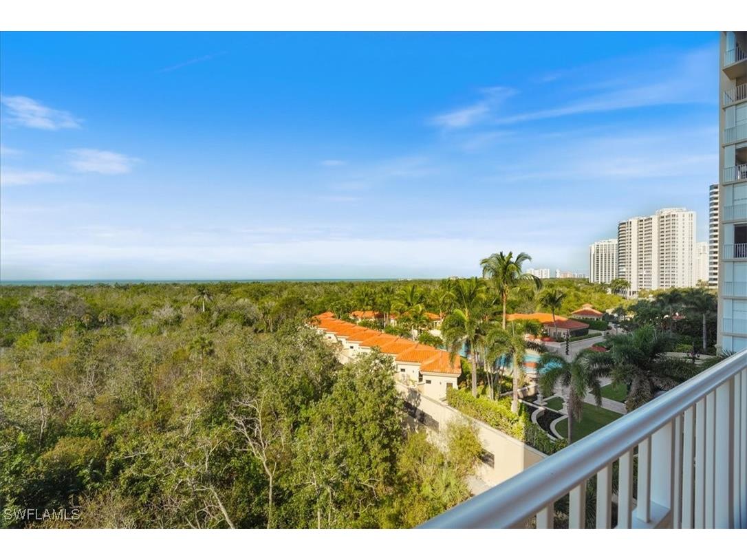 6597 Nicholas Boulevard #601 Naples FL 34108 225072726 image39