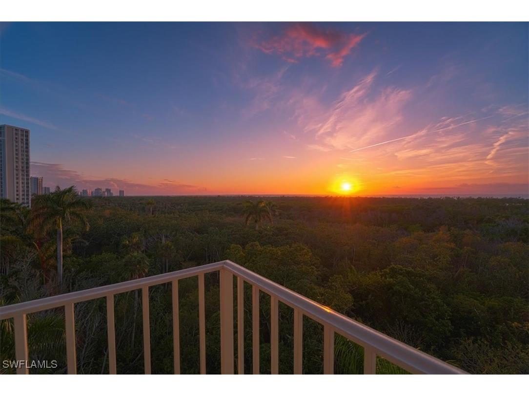 6597 Nicholas Boulevard #601 Naples FL 34108 225072726 image42