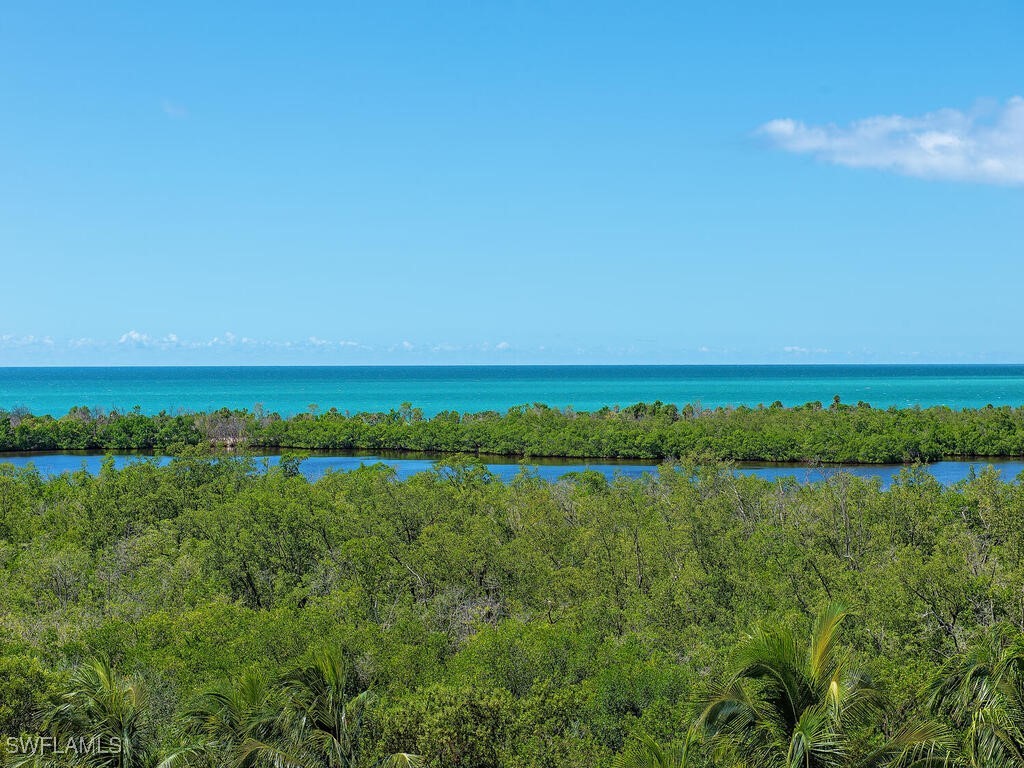 6597 Nicholas Boulevard #803 Naples FL 34108 225072137 image5