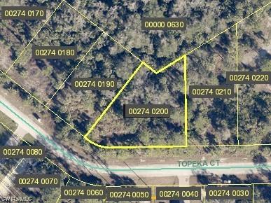 660 Topeka Court Lehigh Acres FL 33972 223052279 image1