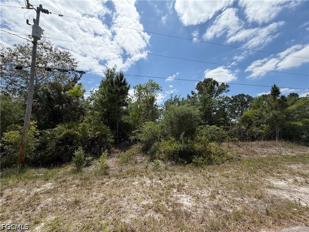 662 Chemstrand Street E Lehigh Acres FL 33974 2026017124 image3