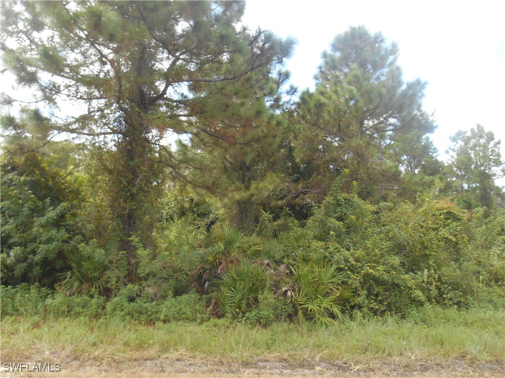 662 Foxchase Drive Lehigh Acres FL 33974 224070598 image1