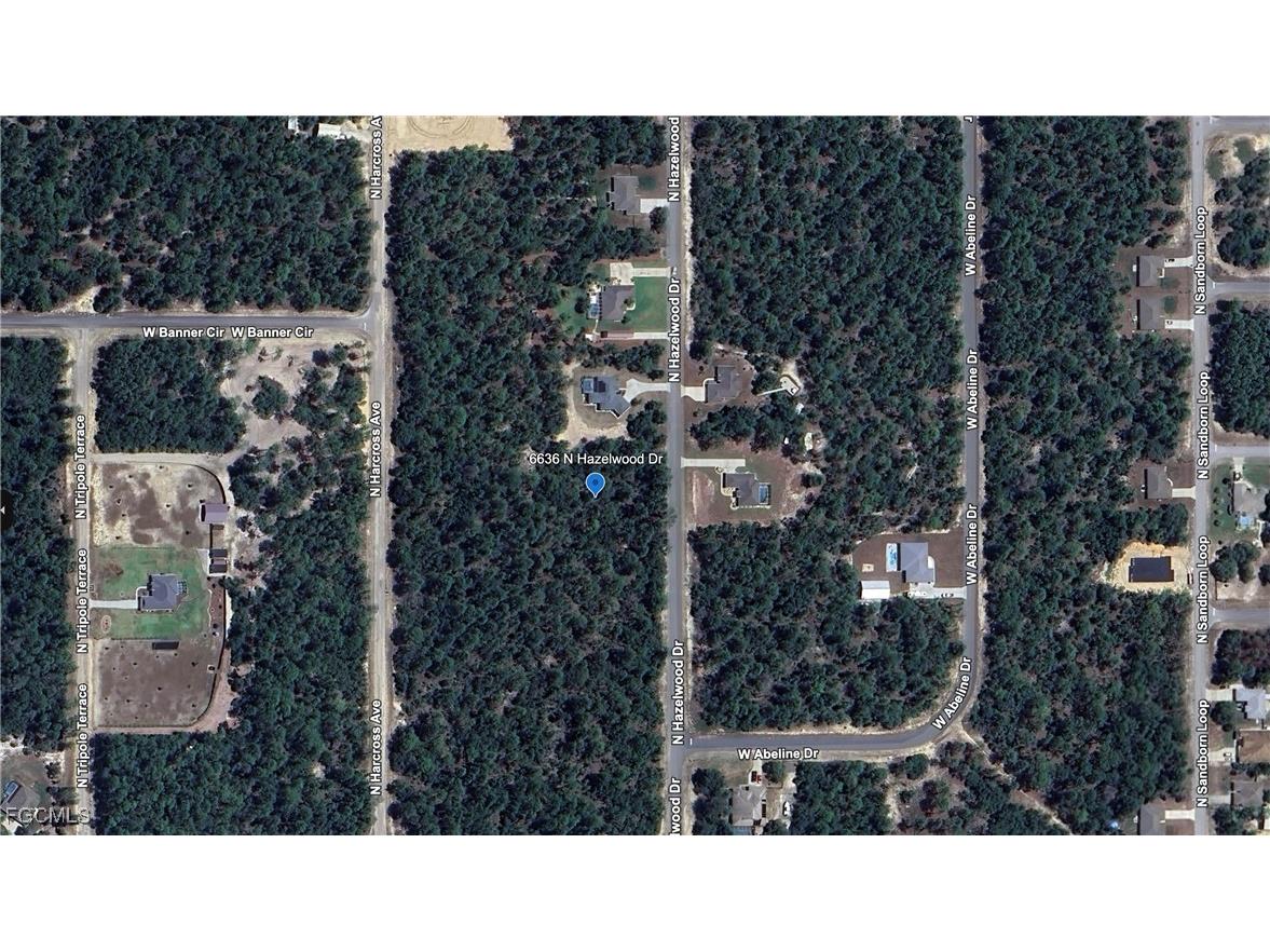 6636 N Hazelwood Drive Citrus Springs FL 34433 2025011116 image1
