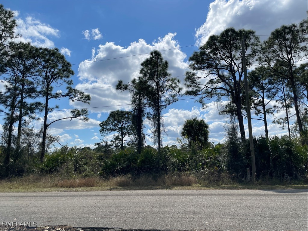 664/666 Chattman Street Lehigh Acres FL 33974 225014150 image1