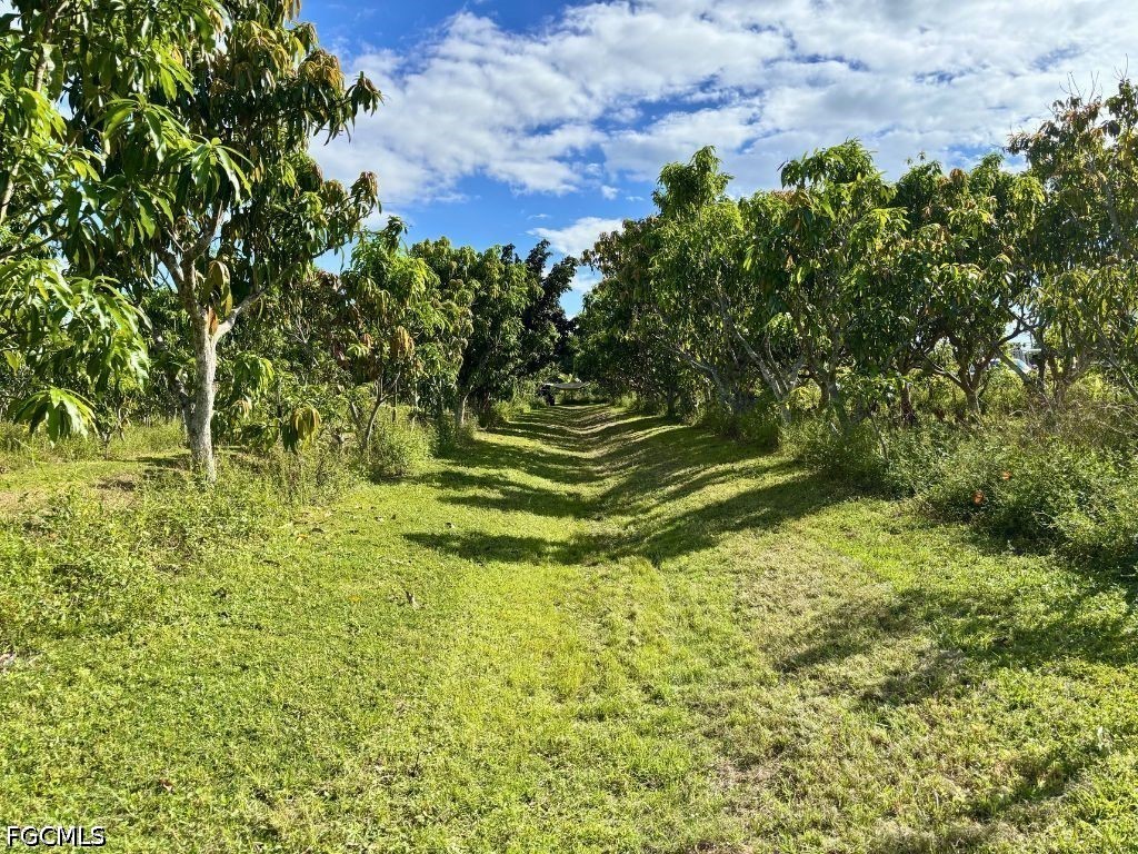 6640 Sunrise Lane Bokeelia FL 33922 2026015984 image1