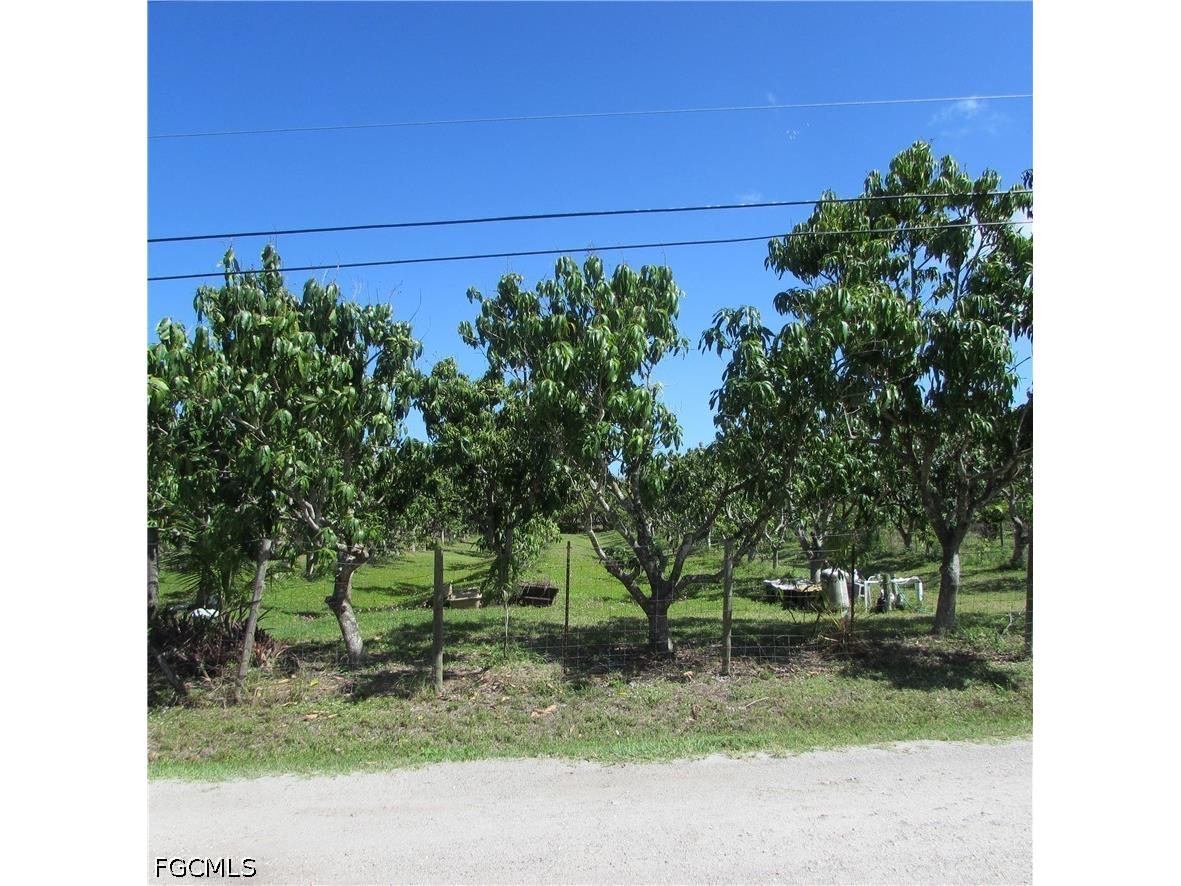 6640 Sunrise Lane Bokeelia FL 33922 2026015984 image11