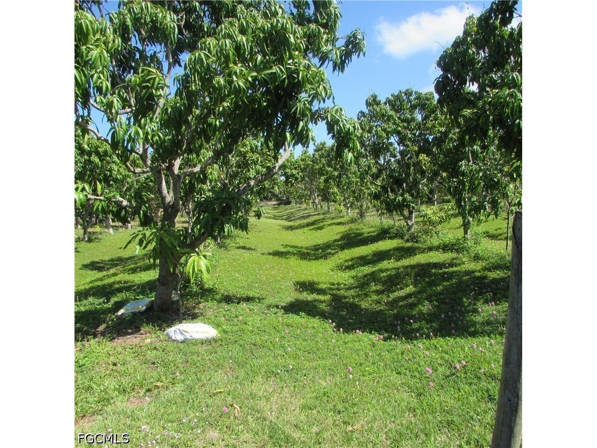 6640 Sunrise Lane Bokeelia FL 33922 2026015984 image13