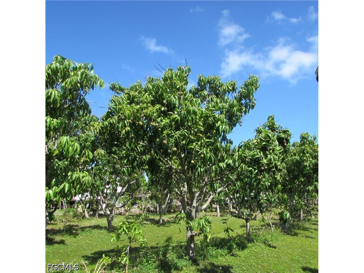 6640 Sunrise Lane Bokeelia FL 33922 2026015984 image16