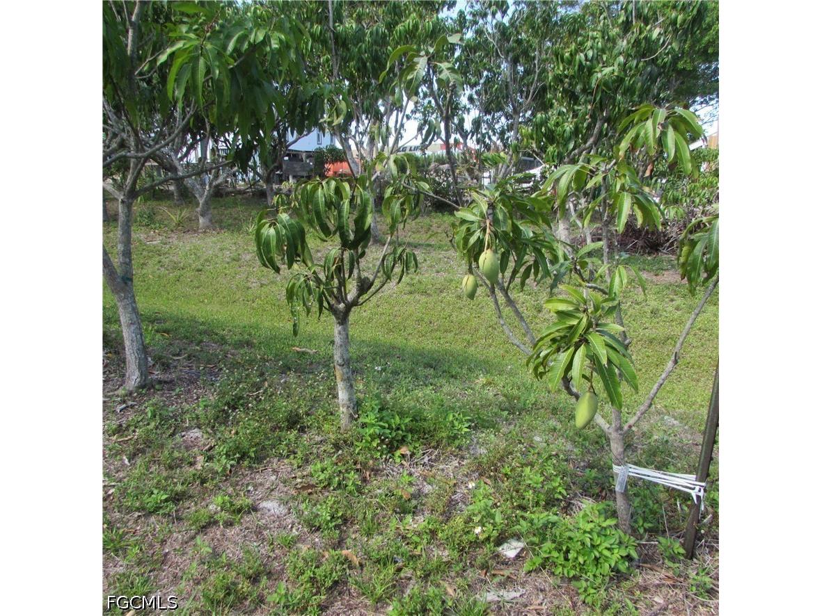 6640 Sunrise Lane Bokeelia FL 33922 2026015984 image21