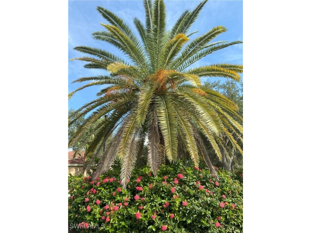 6645 Huntington Lakes Circle #204 Naples FL 34119 225069627 image25