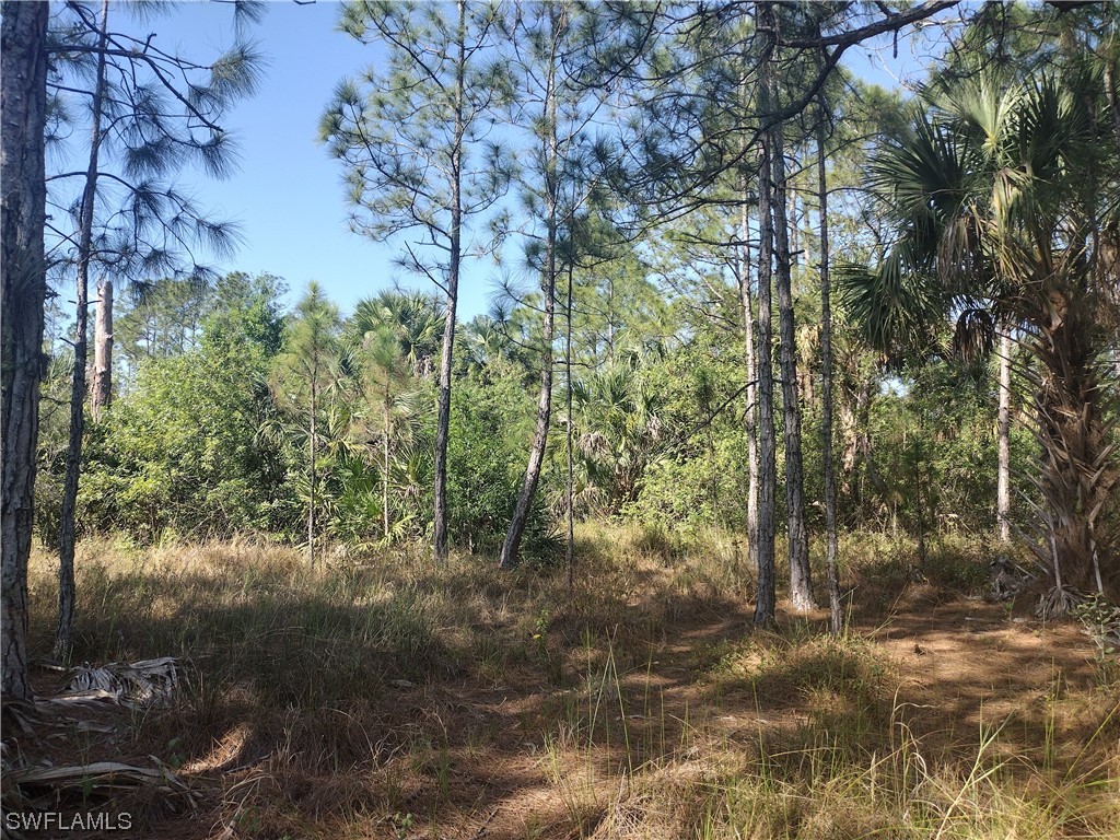 665 S Estribo Street Montura Ranches FL 33440 223017543 image1