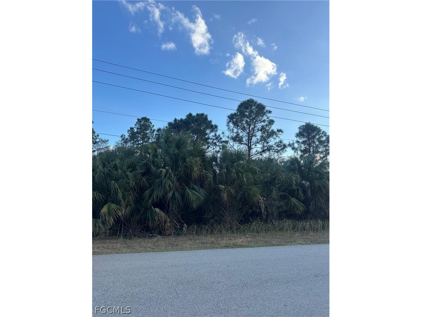 665 Woodcrest Drive Lehigh Acres FL 33972 2026011097 image1