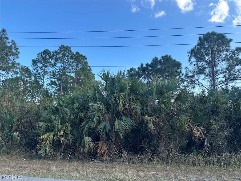 665 Woodcrest Drive Lehigh Acres FL 33972 2026011097 image3