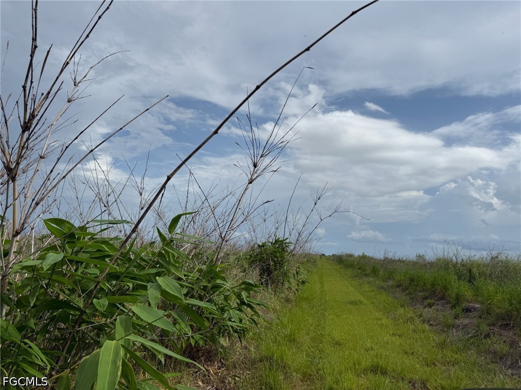 6658 + 6680 4th Road Labelle FL 33935 2026023226 image3