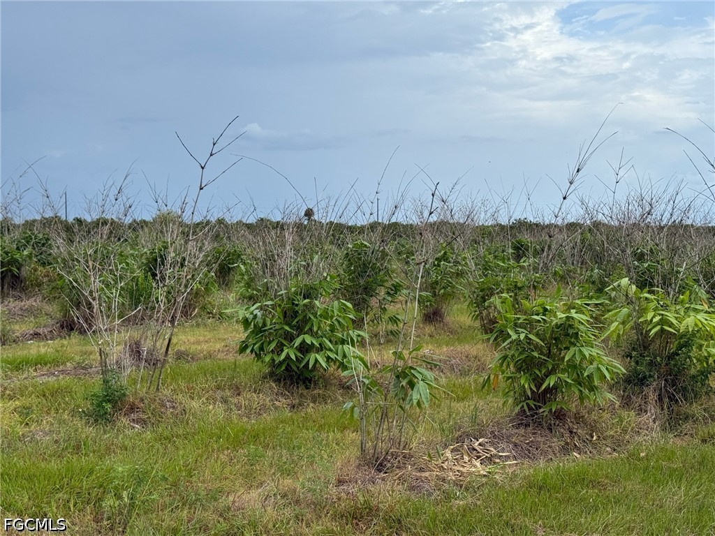 6658 + 6680 4th Road Labelle FL 33935 2026023226 image8