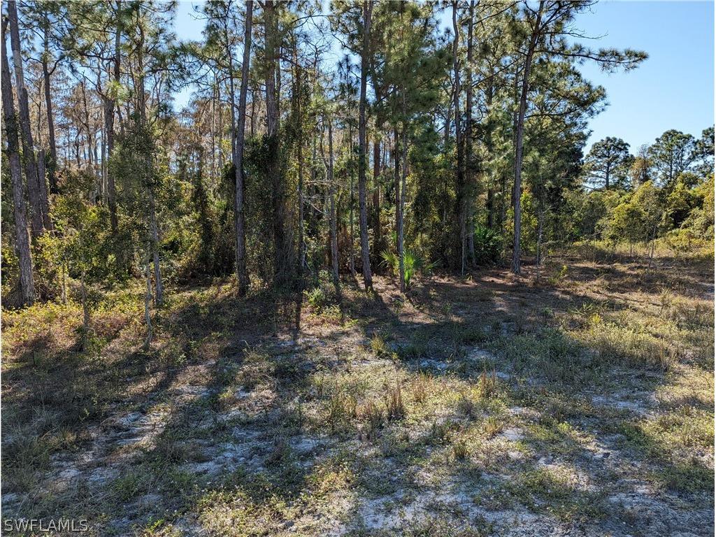 666 Foxchase Drive Lehigh Acres FL 33974 221083482 image1