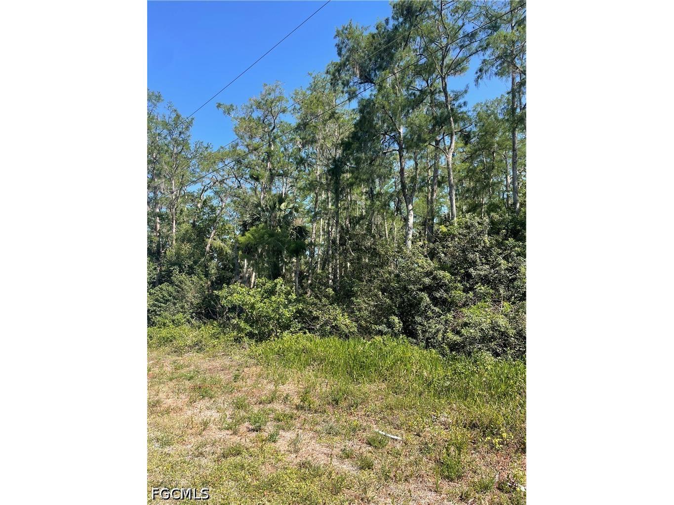 666 Knapp Street Lehigh Acres FL 33974 2026018748 image2