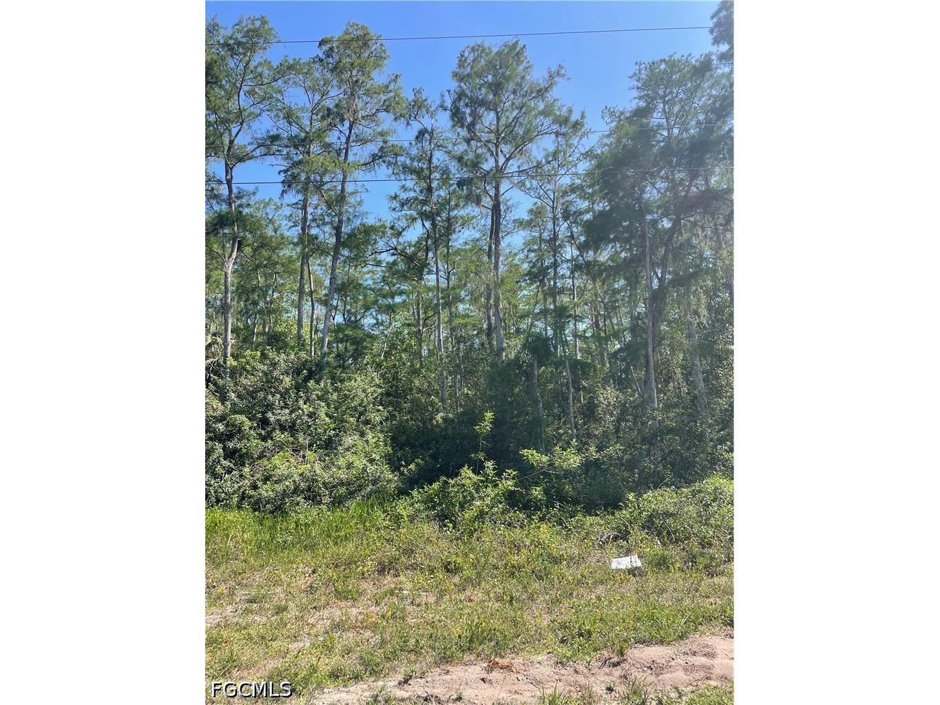 666 Knapp Street Lehigh Acres FL 33974 2026018748 image3