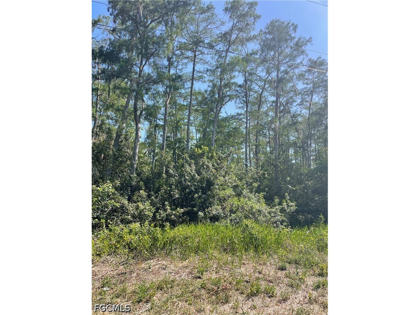666 Knapp Street Lehigh Acres FL 33974 2026018748 image4