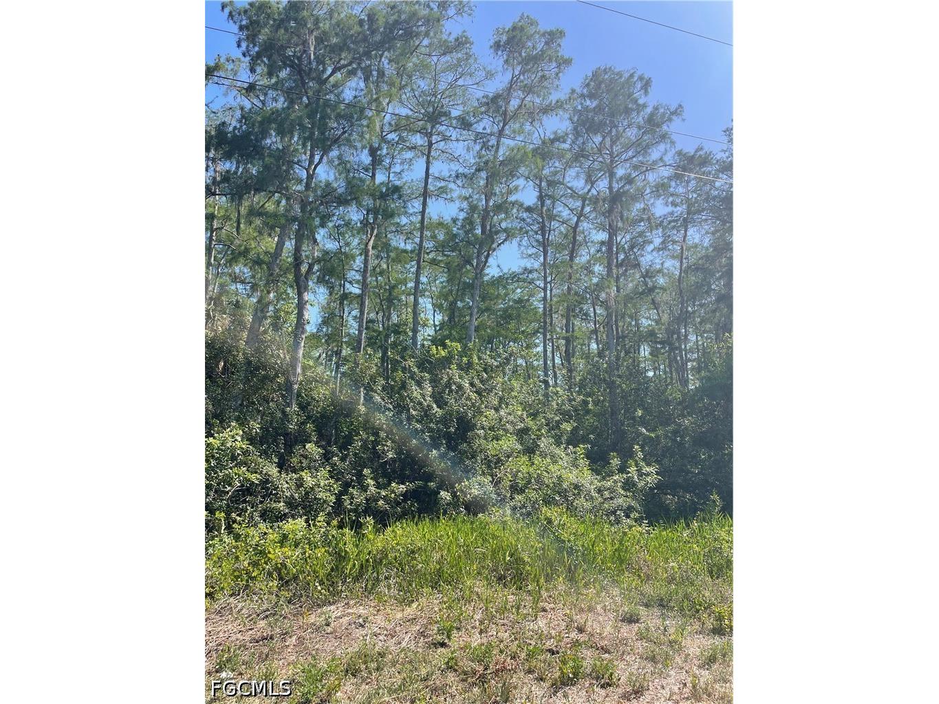 666 Knapp Street Lehigh Acres FL 33974 2026018748 image5