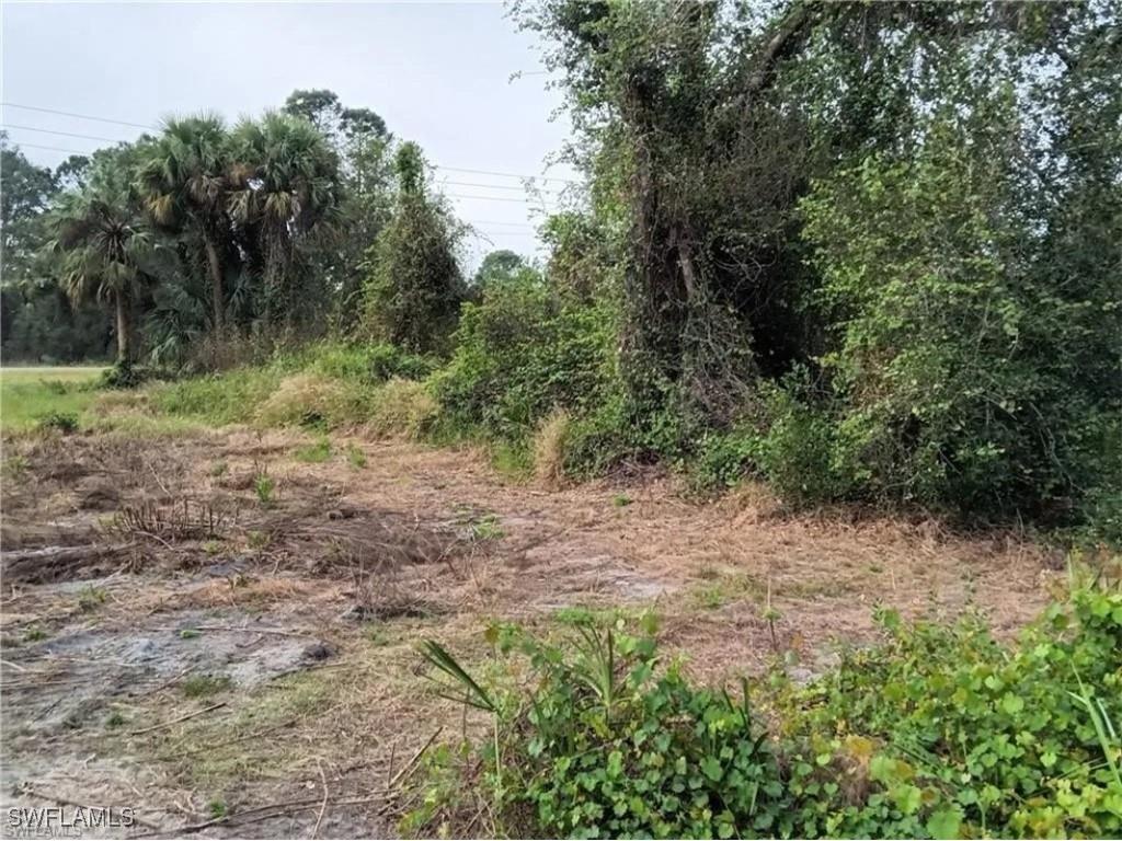 666 Windermere Drive Lehigh Acres FL 33972 225007632 image1