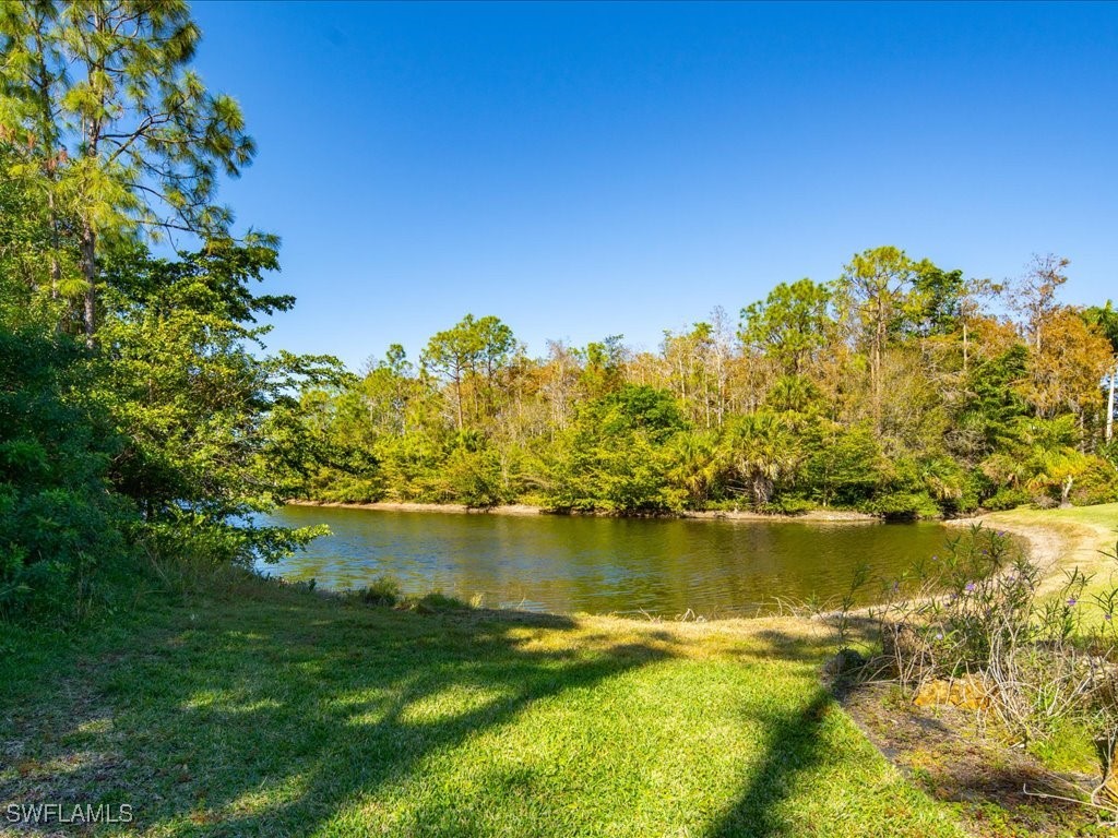 6665 Mill Run Circle Naples FL 34109 225082485 image32