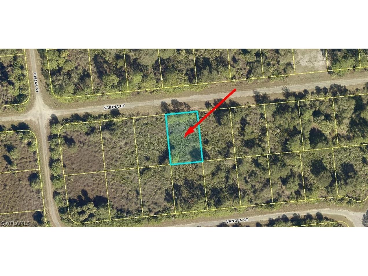 667 Sabina Court Lehigh Acres FL 33972 222080056 image1