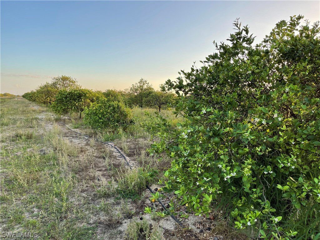 6675 and 6755 7th Road Labelle FL 33935 223011772 image1