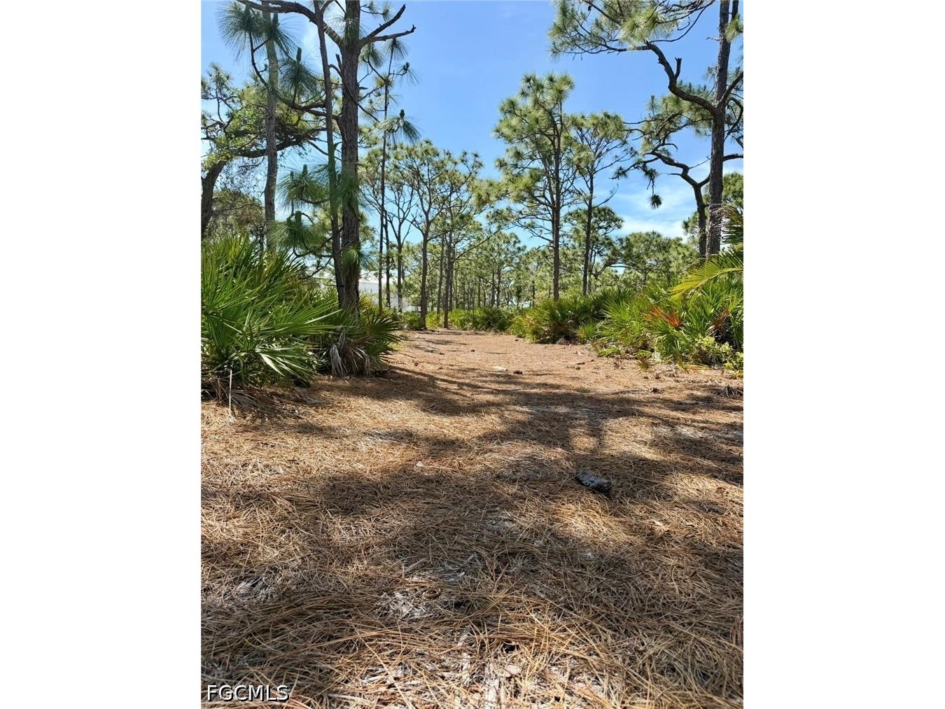 6690 Pineland Road Bokeelia FL 33922 2026023455 image10