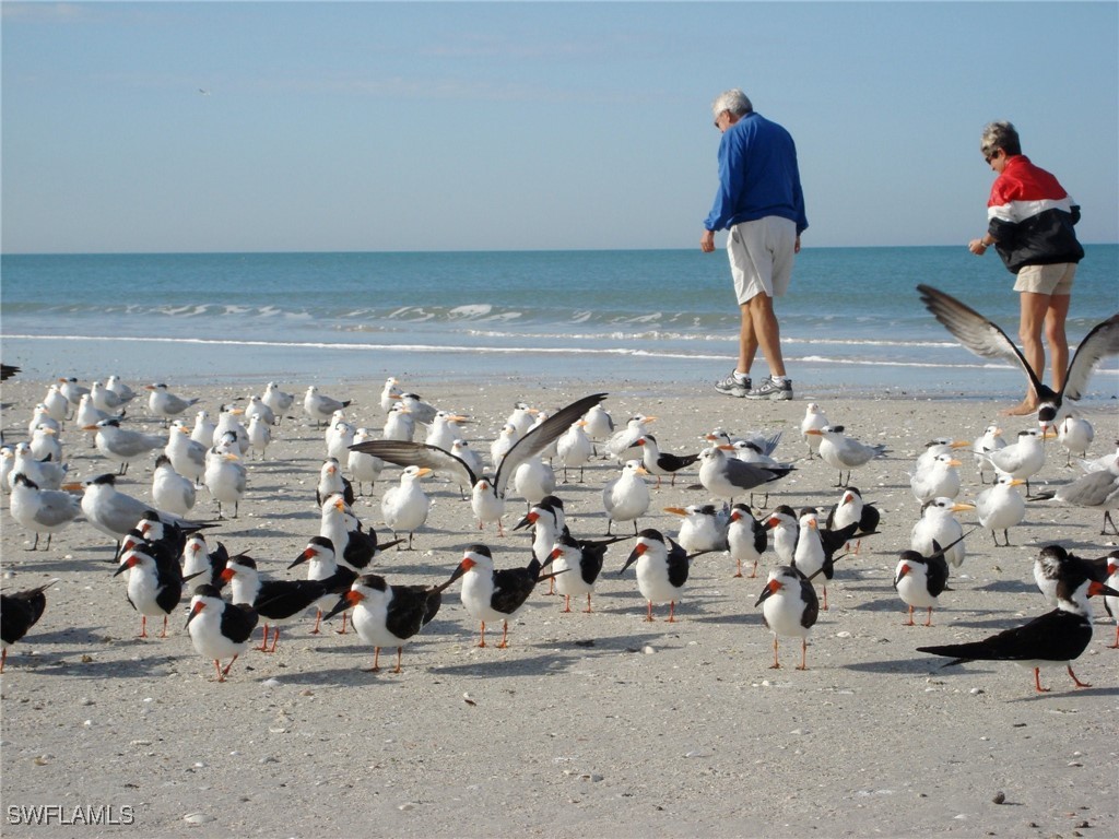 672 100th Avenue Naples FL 34108 225063681 image27