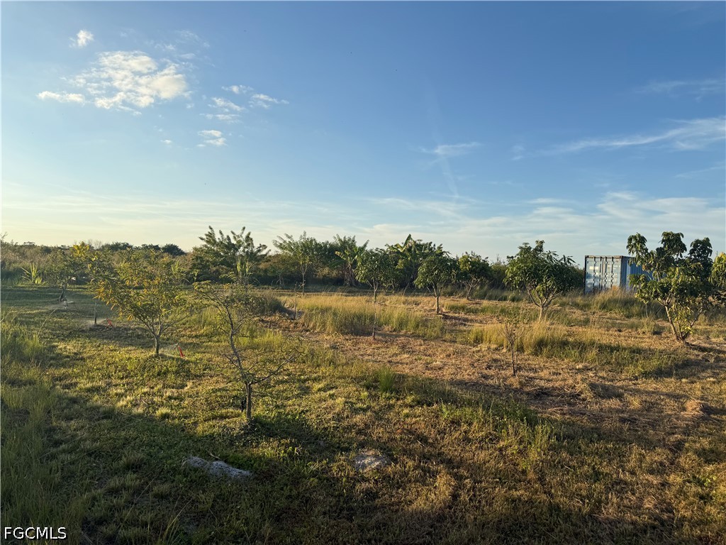 6724 5th Road Labelle FL 33935 2026021621 image10