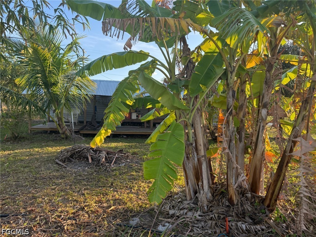 6724 5th Road Labelle FL 33935 2026021621 image12
