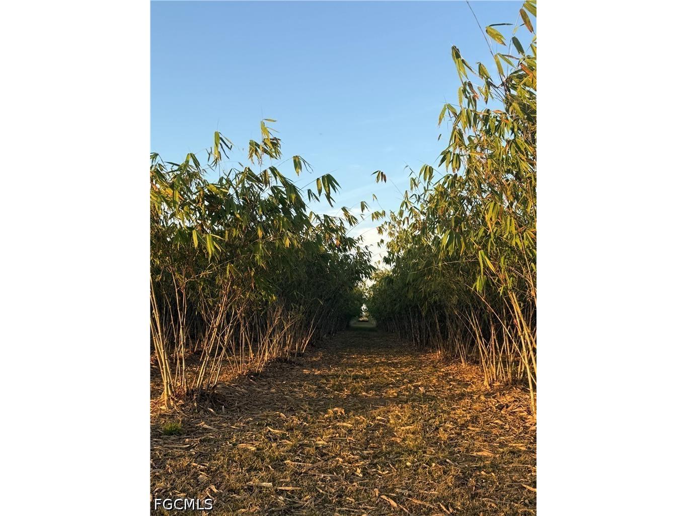 6724 5th Road Labelle FL 33935 2026021621 image13