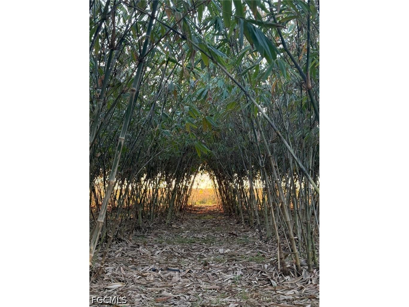 6724 5th Road Labelle FL 33935 2026021621 image14