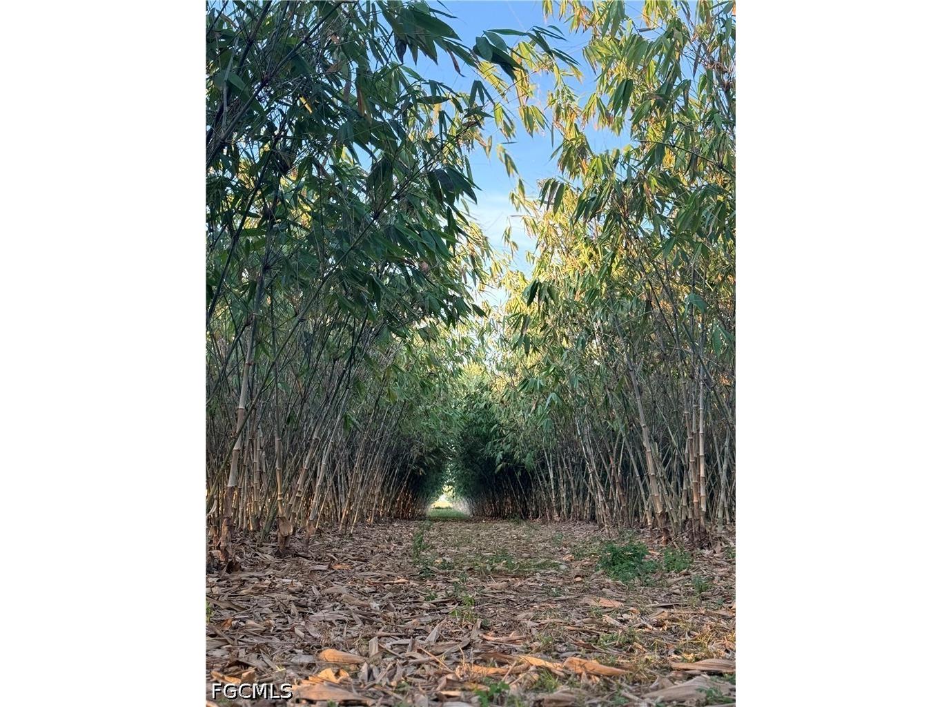 6724 5th Road Labelle FL 33935 2026021621 image2
