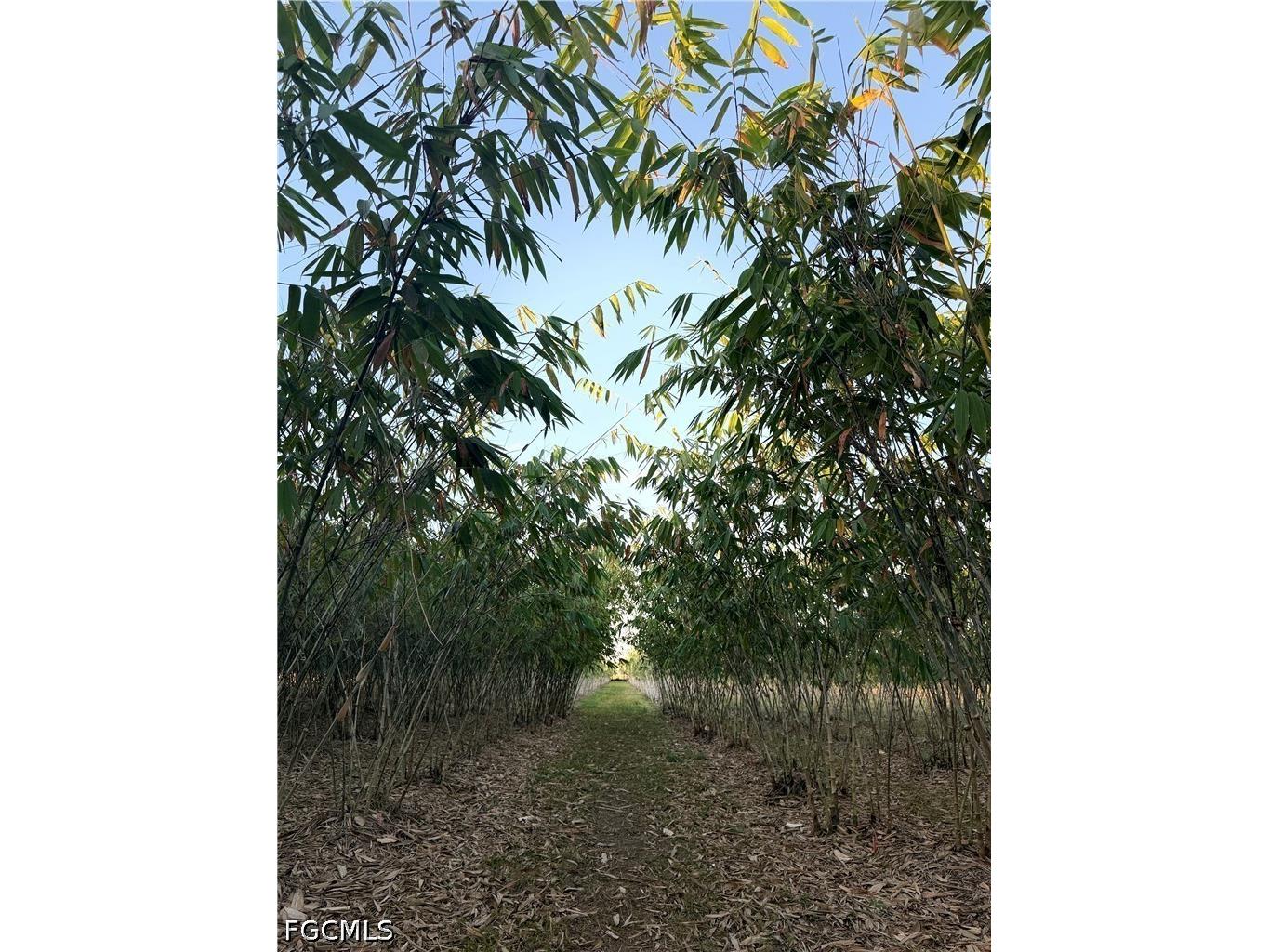 6724 5th Road Labelle FL 33935 2026021621 image3