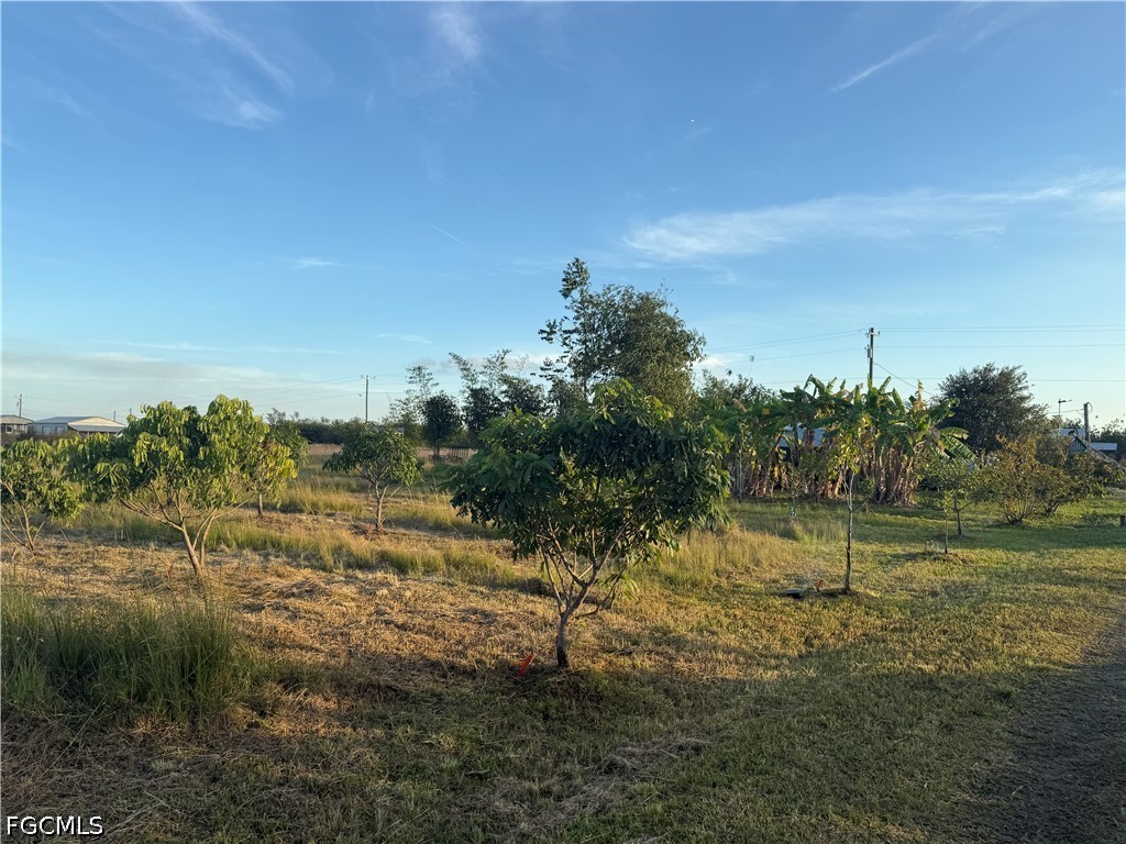 6724 5th Road Labelle FL 33935 2026021621 image8