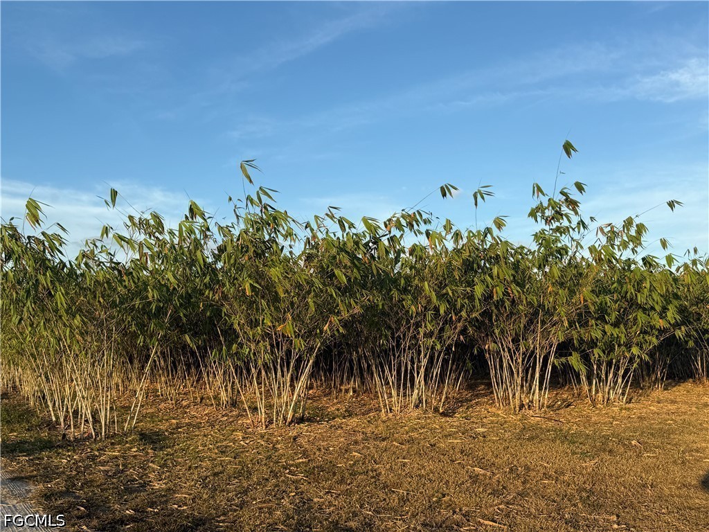 6724 5th Road Labelle FL 33935 2026021621 image9