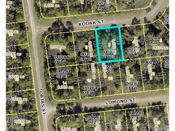 673 Kodak Street Lehigh Acres FL 33972 223010146 image1